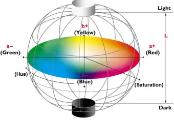 Figure 1.9: Representation of Lab color space 