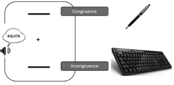Fig. 1.A. Schematic pattern of the experimental design