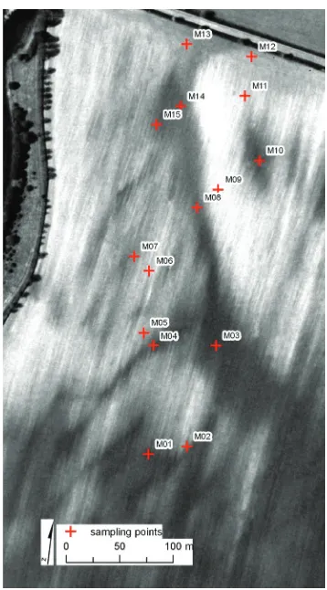 Figure 1. Study plot with sampling points; gray scale shades indicate different colour (caused mostly by or-ganic matter content) within the area