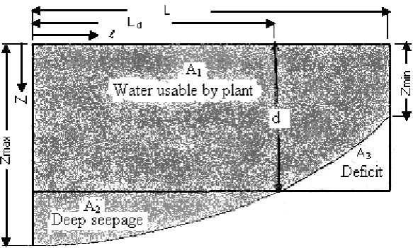 Figure 2. Water distribution depth profile