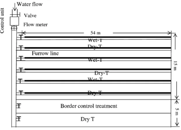 Figure 4. Experimental layout