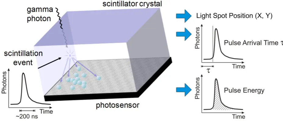 Figure 2: Scintillation light pulse hitting the photosensor and its respective outputs
