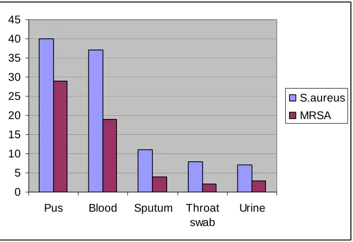 Figure 2  Number of MRSA detected from differernt specimens                          
