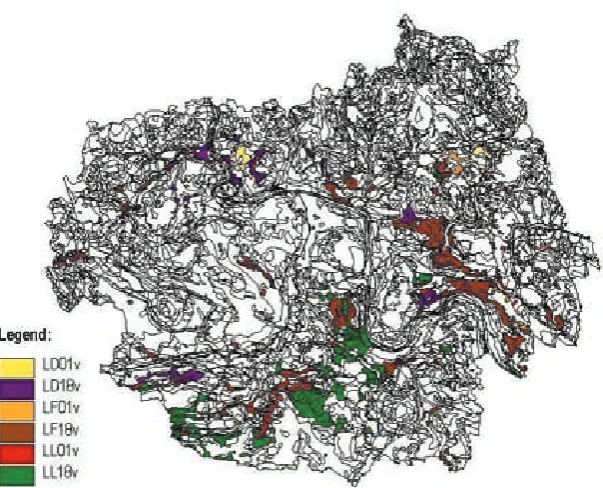 Figure 4. Profile appearance in the pit No. 3