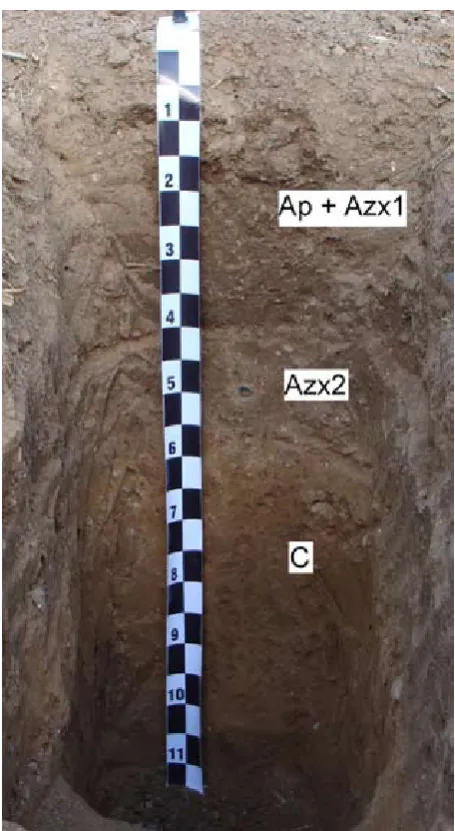 Figure 6. Pit 3 – profile stratigraphy