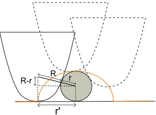 Figure 3.5: Tip-broadening eﬀ√ect: an object represented by a sphere with radius rmeasured with a tip with radius R is imaged as a emispherical shape whose radius r’.When the tip and the object radii are comparable the relation between r and r’ canbe obtained by simple geometrical considerations as r′ =�(R + r)2 − (R − r)2 =4rR.