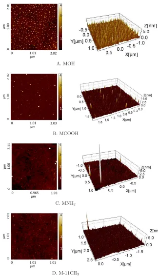Figure 4.5: AFM images and the corresponding 3D reconstructions of gold sur-faces functionalized with MOH (A), MCOOH (B), MNHlumResearch, Santa Barbara, CA)2 (C), M-11CH3 (D)