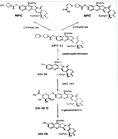 Fig. 2 
