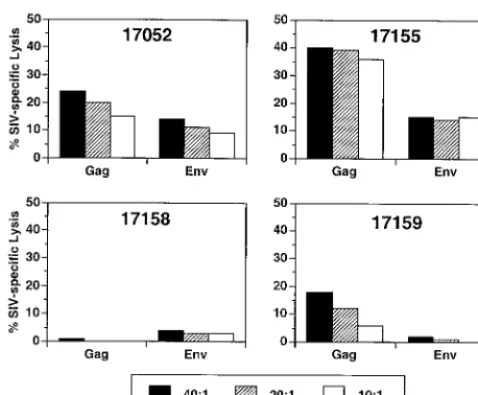 FIG. 5. CTL activity against SIVmac antigens (Gag and Env) on the day ofchallenge with SIVsmE660.