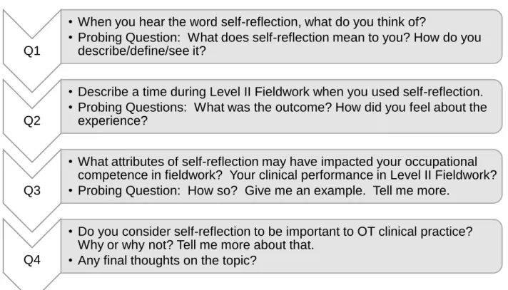 Figure 1:  Individual interview guide for study participants. 