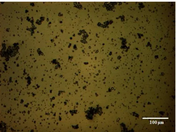 Figure 2.2. Optical image of gelatin microbeads in oily phase prepared from 