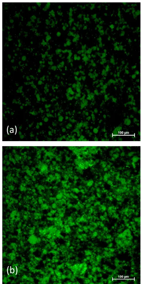 Figure 3.8 (a). 