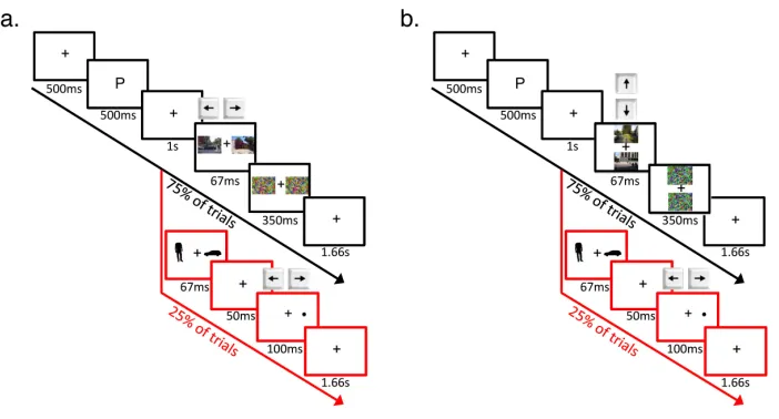 Figure   2.   Schematic   outline   of   the   experimental   paradigm   for   2a)   Experiments   1-­‐4   