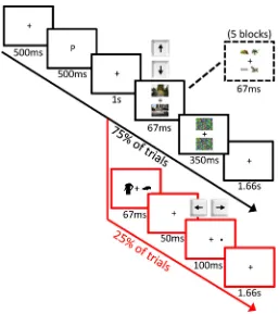 Figure 
  2. 
  A 
  schematic 
  of 
  the 
  paradigms 
  used 
  in 
  Experiments 
  1 
  and 
  2; 
  in 
  Experiment 
  