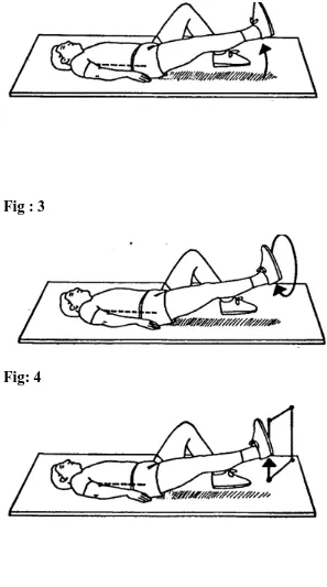 Fig : 3  