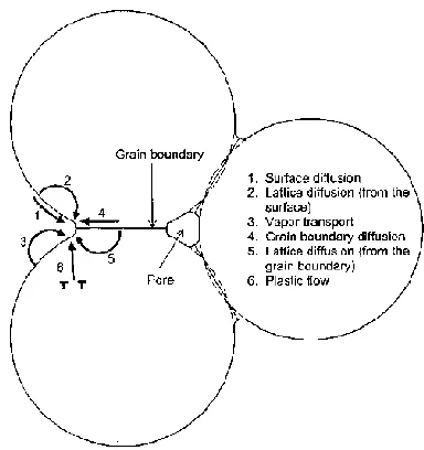 Fig.25. Path of matter transport during sintering [77]. 