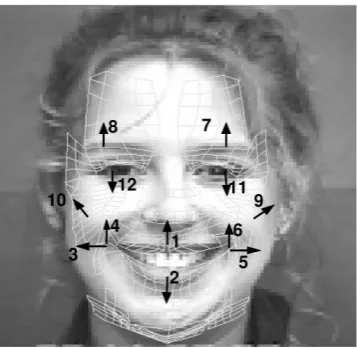 Figure 2.2: The facial motion measurements.