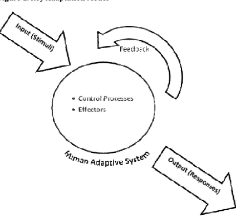 Figure 1. Roy Adaptation Model
