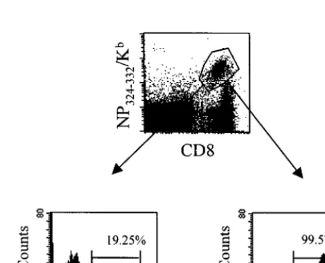 TABLE 1. Frequencies of CD8� cells speciﬁc for the dominant and subdominant Sendai virus epitopes asmeasured by MHC tetramer staininga