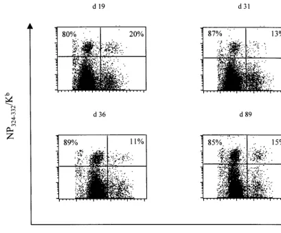 FIG. 2. Presence of blasted NP324–332on all CD8with Sendai virus were stained with anti-CD8 antibody plus tetrameric NP/Kb-speciﬁc CD8� cells in the memory response