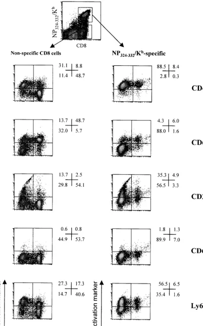 FIG. 6. Phenotype of divided and nondivided NP324–332recognizing lymphocyte activation markers