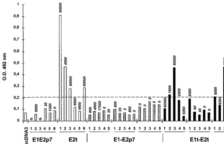 FIG. 3. Reactivity of mice sera against the HVR-1. Sera obtained at 25 weeks post-primary injection from each mouse of the different injected groups were testedagainst the A1H peptide