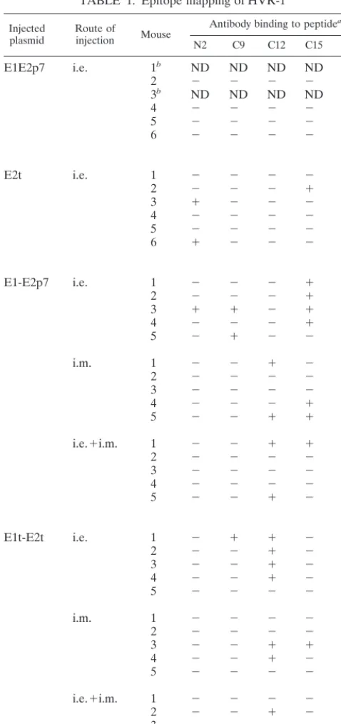 TABLE 1. Epitope mapping of HVR-1