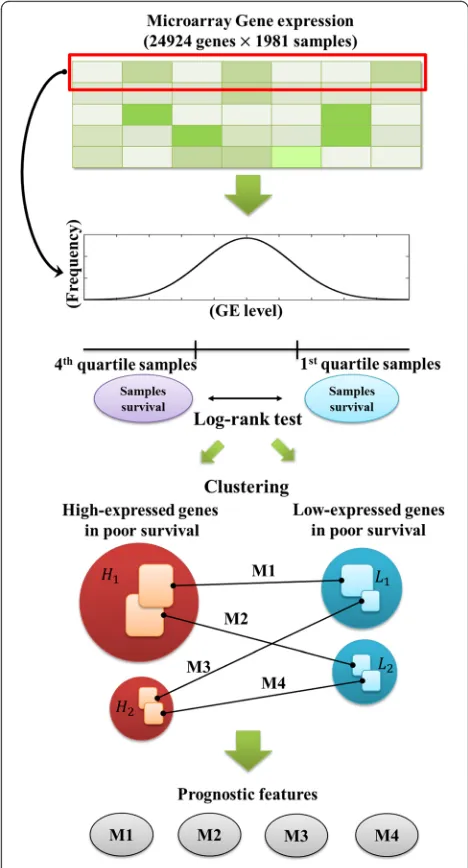 Fig. 1 Overall workflow The expression profiles of 24,924 geneswere used for the survival log-rank test