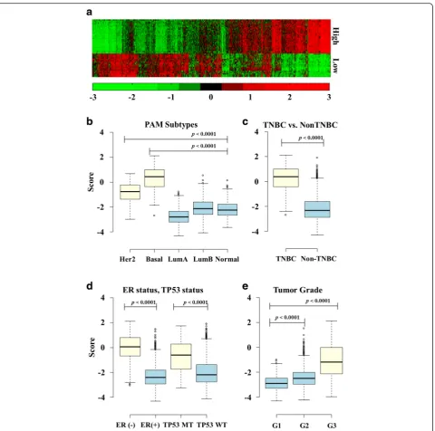 Fig. 3 Expression of high/low-expressed genes in poor survival and Boxplots of prognostic score according to breast cancer characteristics.expression levels of the genes used in module 1