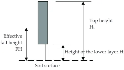 Figure 1. Determination of the fall height for the cylindrical shape of the plant body