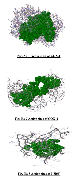 Fig. No 3 Active sites of 1 H0V 