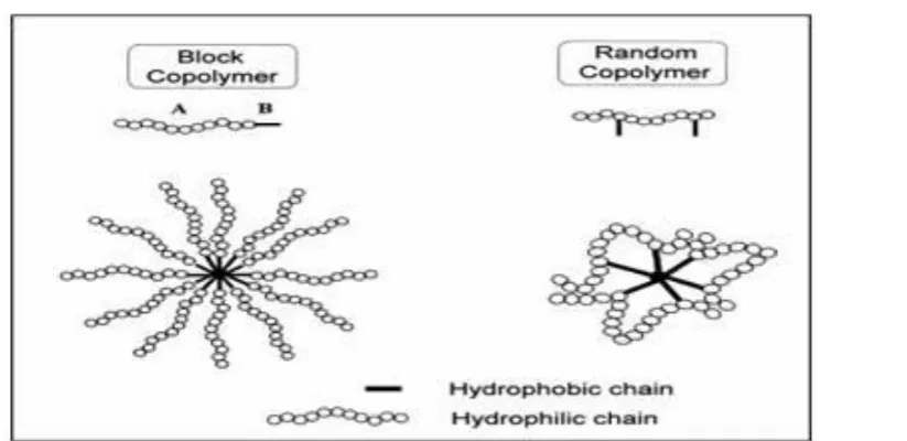 Figure: 5 Schematic representations of block and random copolymer micelles 