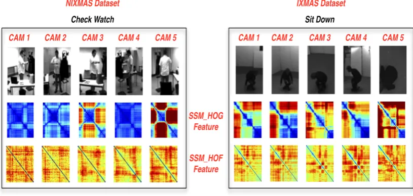 Figure 3.1: Exemplar SSMs computed from Histogram of Oriented Gradients andHistograms of Optical Flows features for the NIXMAS Weinland et al