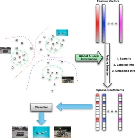 Figure 4.1: Our GLocal Structural feature selection with Sparsity (GLSS) Framework
