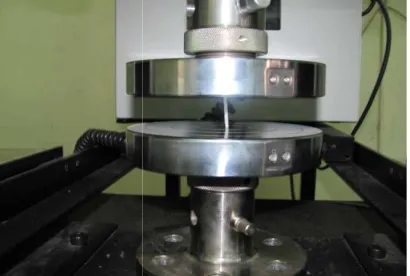 Fig 16–Sample under compressive loadSample under compressive load 