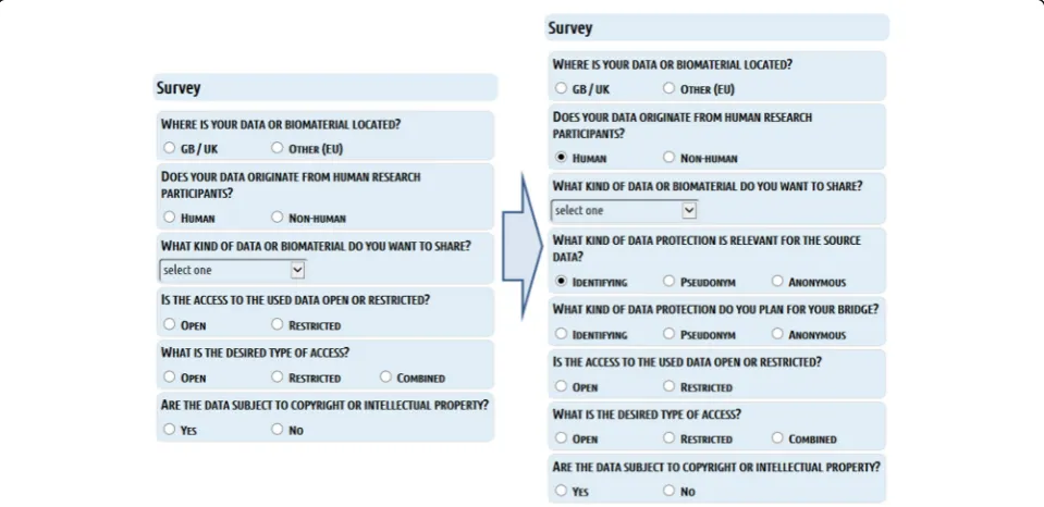 Fig. 7 Conditional questions. Conditional questions depending on given answers. The example “HUMAN” data is shown