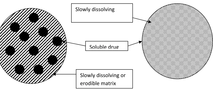Figure .1. Schematic representation of dissolution controlled release system 