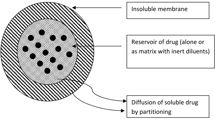 Figure 2.Drug release of diffusion across the insoluble membrane of 