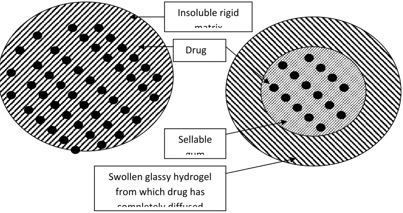 Figure.3. Diffusion controlled devices---(a)rigid matrix , and (b) swellable matrix. 