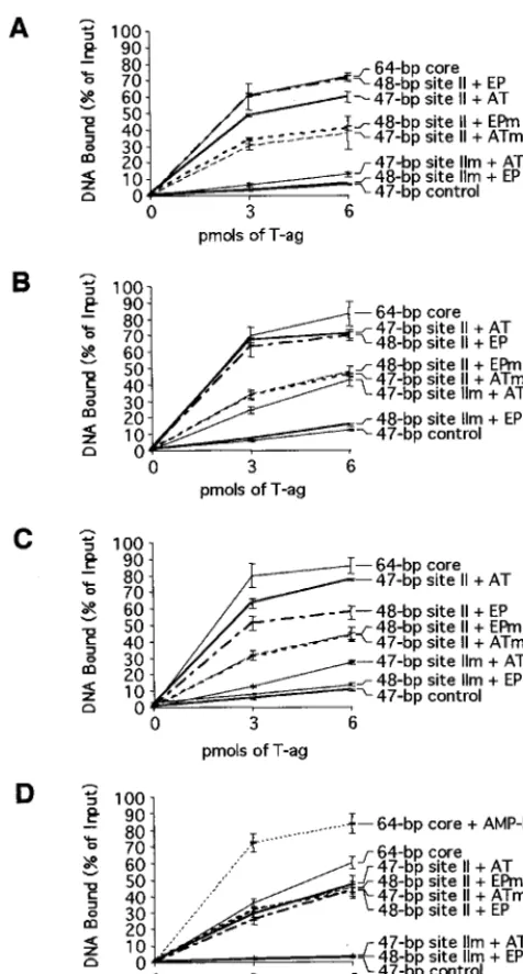 FIG. 10. Filter binding assays used to measure the ability of T-ag to interactwith the asymmetric extensions of site II set of oligonucleotides