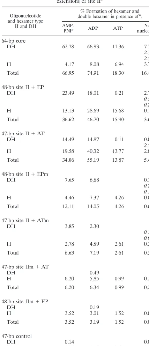 TABLE 1. Quantitation of T-ag hexamer and double-hexamerformation on the set of oligonucleotides termed the asymmetric