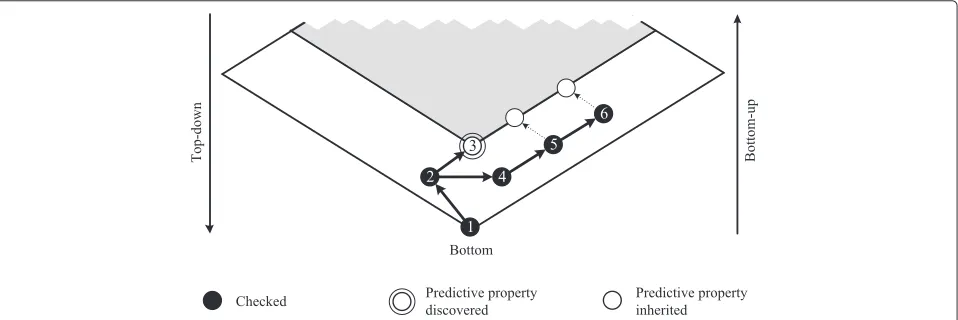 Fig. 4 Example search process in a large solution space. The figure shows a generalization lattice, parts of which have been associated with apredictive property