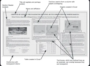Figure 3. A diagram showing the different components of a poster. In the figure some of the text boxes are outlined for illustrative purposes; do not use outlines around text boxes