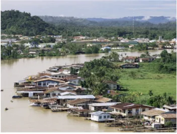 Figure 11: The image is an example of human settlements across the Limbagriver, in Borneo.