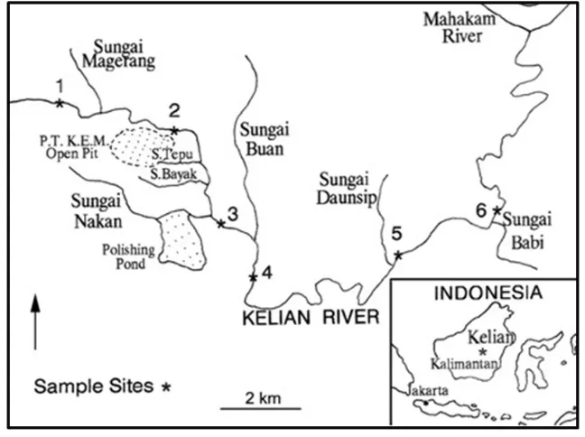 Figure 13: In the map river is subdivided in 6 sites in order to better studythe biological communities.