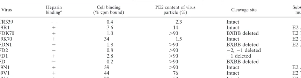 TABLE 2. Summary of binding and PE2 cleavage phenotypes