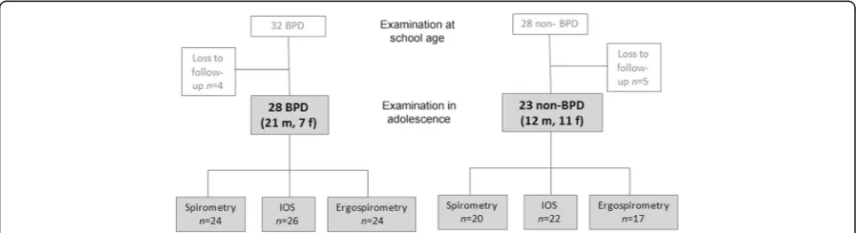 Fig. 1 Schematic description of the patient cohort. Abbreviations: BPD = Bronchopulmonary Dysplasia; IOS = Impulse Oscillometry;m = male; f = female
