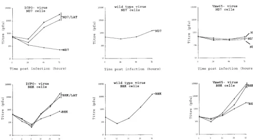 FIG. 3. Effect of deregulated LAT ORF expression on HSV1 ICP0 mutants. Growth curves of an HSV1 strain 17�insertional mutant (pcDNA3 and to those of wild-type virus (strain 17 ICP0 deletion mutant (dl1403) (28) and VMW65in1814) (1) on ND7 (Lat N3, N5, and 