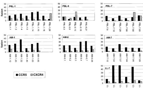 FIG. 2. Fusion mediated by the primary-isolate envvaccinia virus vP11T7gene1, which expresses the T7 polymerase, and transfected with T7-drivencotransfected with CD4, the indicated coreceptor or control vector, and a plasmid encoding luciferase under contr