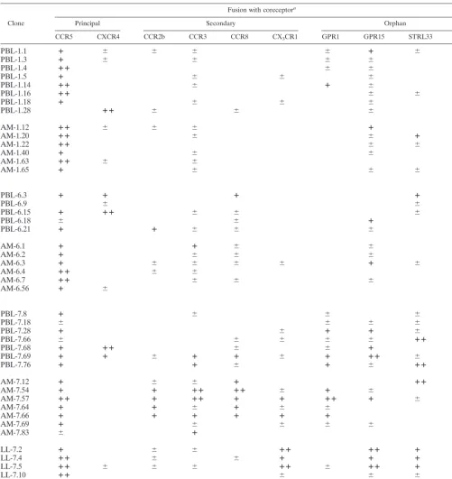 TABLE 2. Summary of fusion mediated by lung- and blood-derived Env glycoproteins